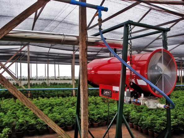 Теплогенератор подвесной дизельный Ballu-Biemmedue Arcotherm PHOEN/S 110 фото 6