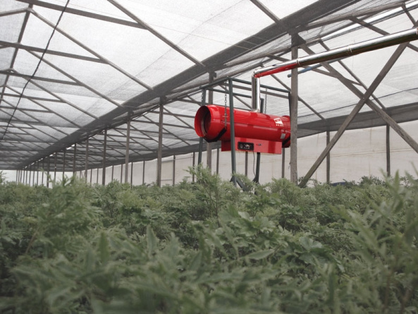 Теплогенератор подвесной дизельный Ballu-Biemmedue Arcotherm PHOEN/S 110 фото 3